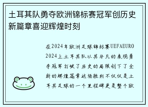 土耳其队勇夺欧洲锦标赛冠军创历史新篇章喜迎辉煌时刻